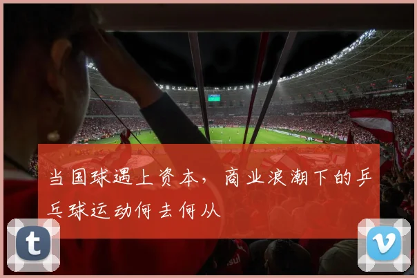 当国球遇上资本,商业浪潮下的乒乓球运动何去何从