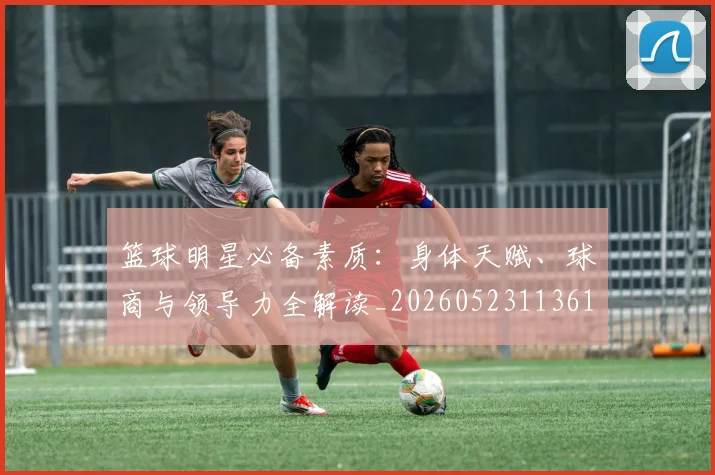 篮球明星必备素质：身体天赋、球商与领导力全解读_20260523113615