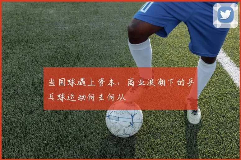 当国球遇上资本,商业浪潮下的乒乓球运动何去何从