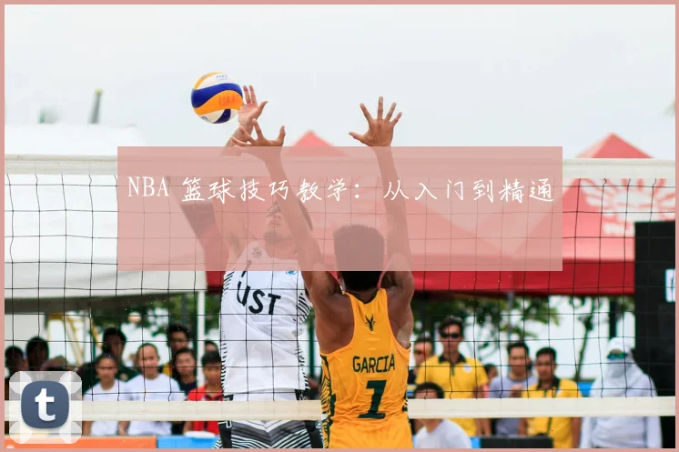 NBA 篮球技巧教学：从入门到精通