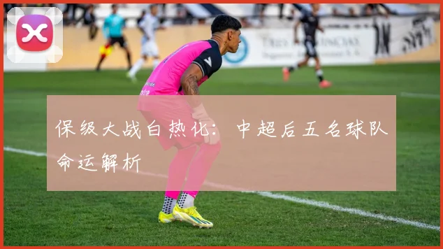 保级大战白热化:中超后五名球队命运解析