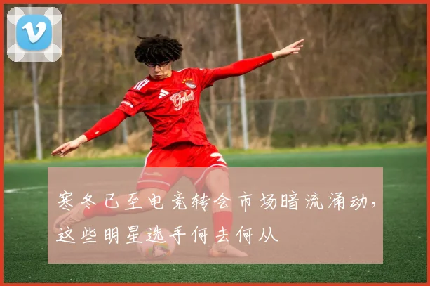 寒冬已至电竞转会市场暗流涌动，这些明星选手何去何从
