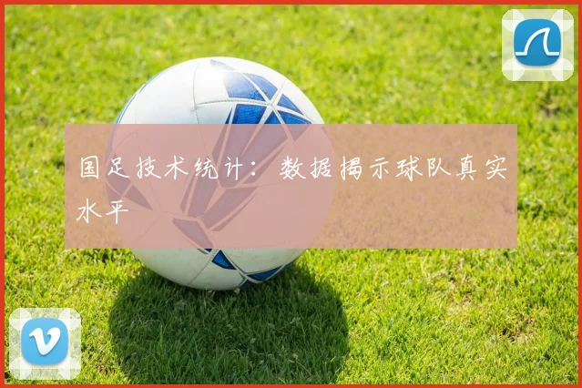 国足技术统计：数据揭示球队真实水平